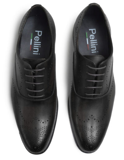 Leather Derby Shoes - Pellini